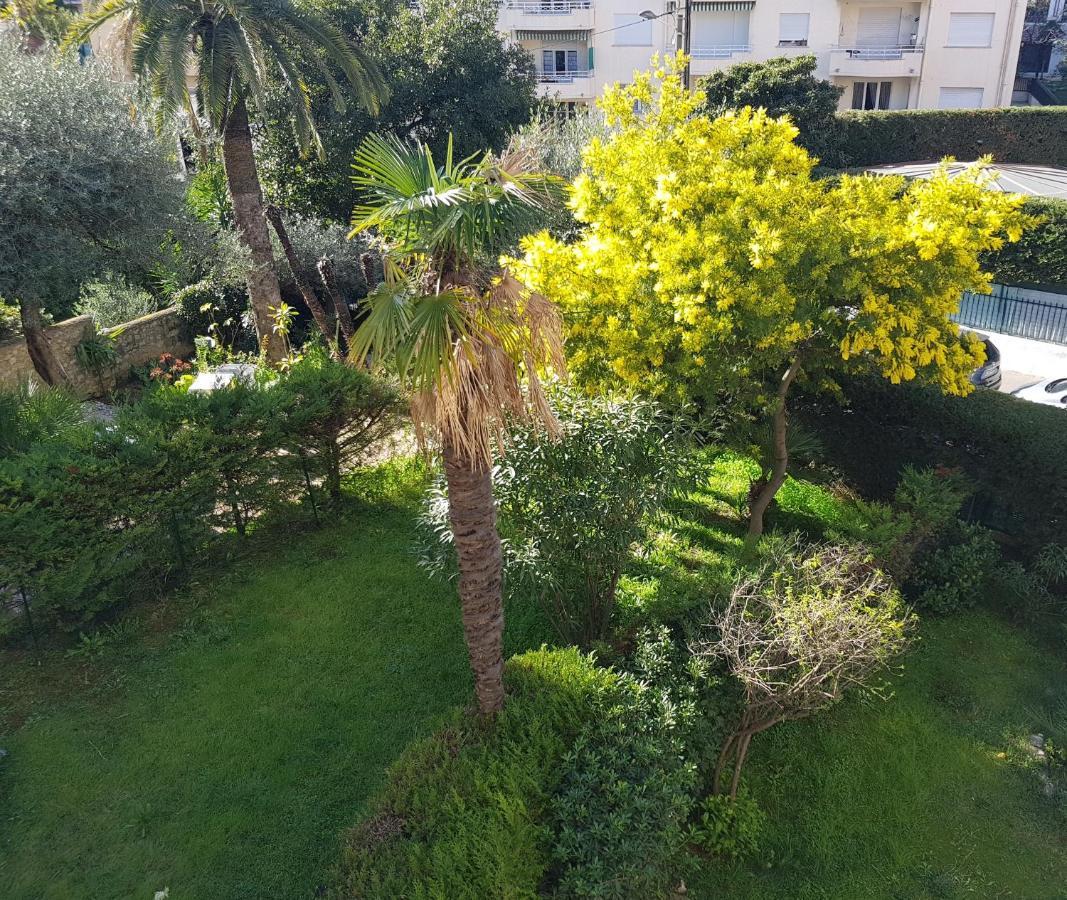 קאן Melodie מראה חיצוני תמונה